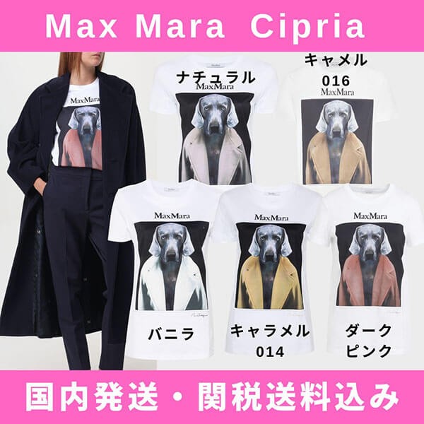 マックスマーラ Cipria ピュアコットン プリント ジャージー Tシャツ 242194607160
