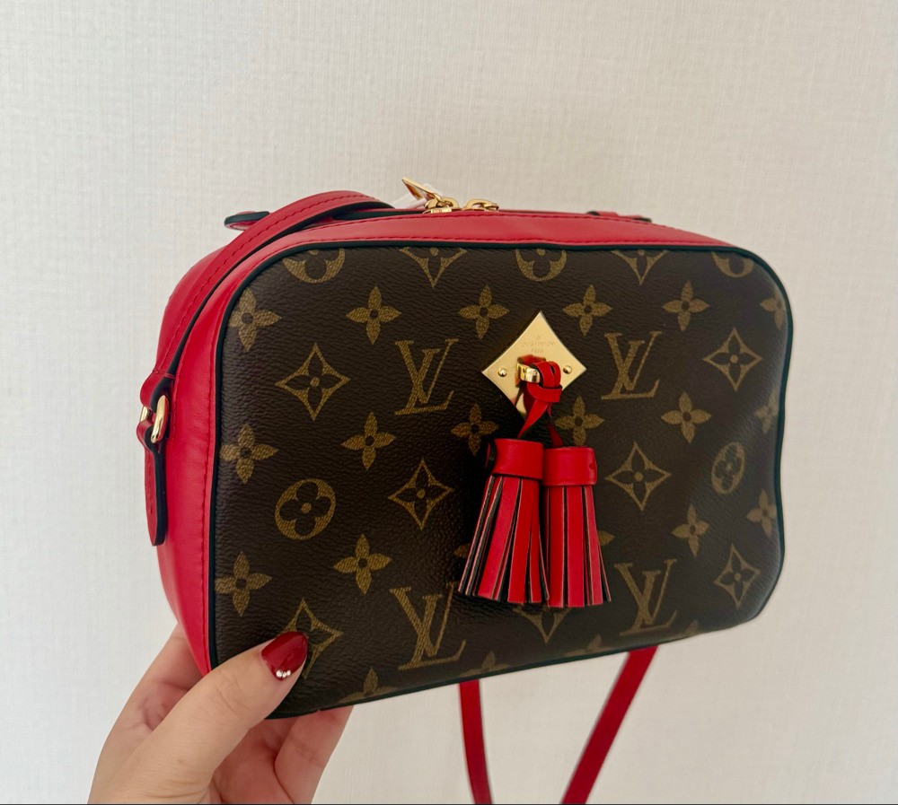 【18SS NEW】  ルイヴィトンスーパーコピー_women / カーフレザー サントンジュ M43559