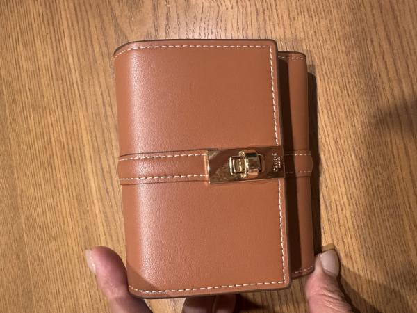 国内即発 セリーヌ 偽物 スモール トリフォールドウォレット コピー ミニ財布10F523CQ7.38NO