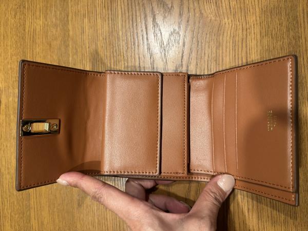 国内即発 セリーヌ 偽物 スモール トリフォールドウォレット コピー ミニ財布10F523CQ7.38NO