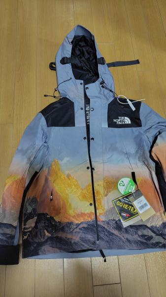 【ノースフェイス偽物】☆GTX MOUNTAIN VISTA ジャケット☆